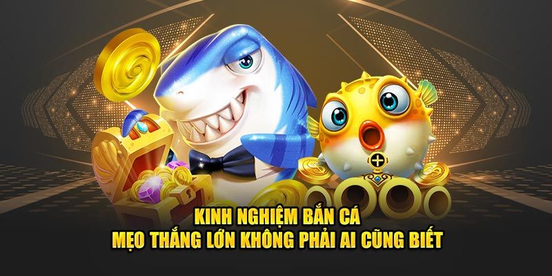 Kinh nghiệm bắn cá King giúp đạt kết quả tốt nhất