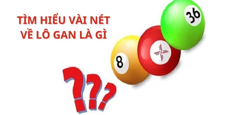 Sơ lược về lô gan là gì